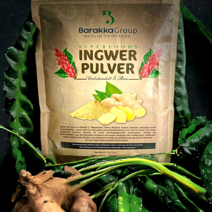 Ingwer Pulver aus Afrika