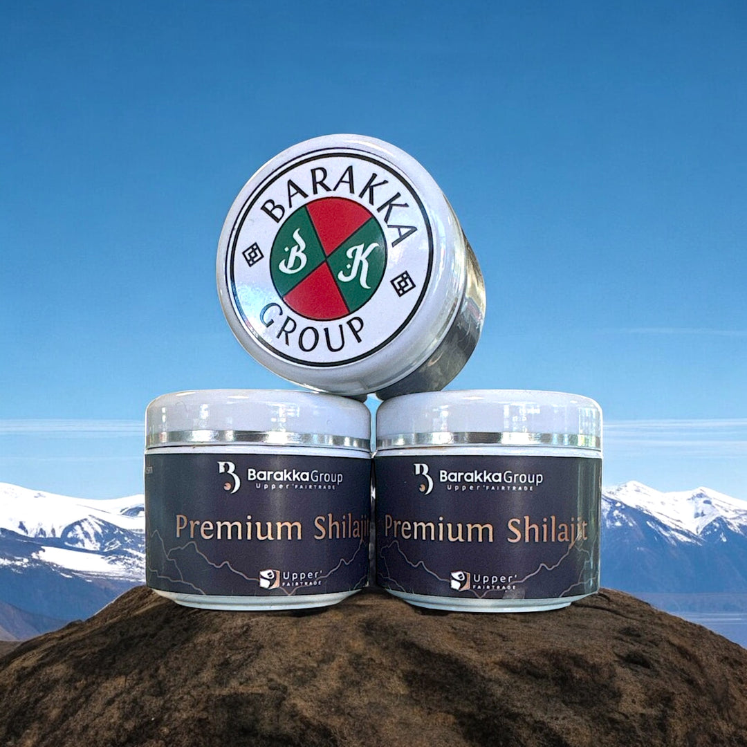 RÉSINE SHILAJIT MUMIJO