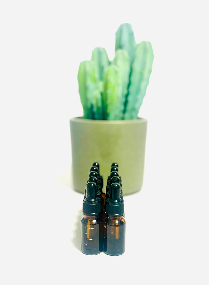 Al Qust al Hindi / Indischer Kostus