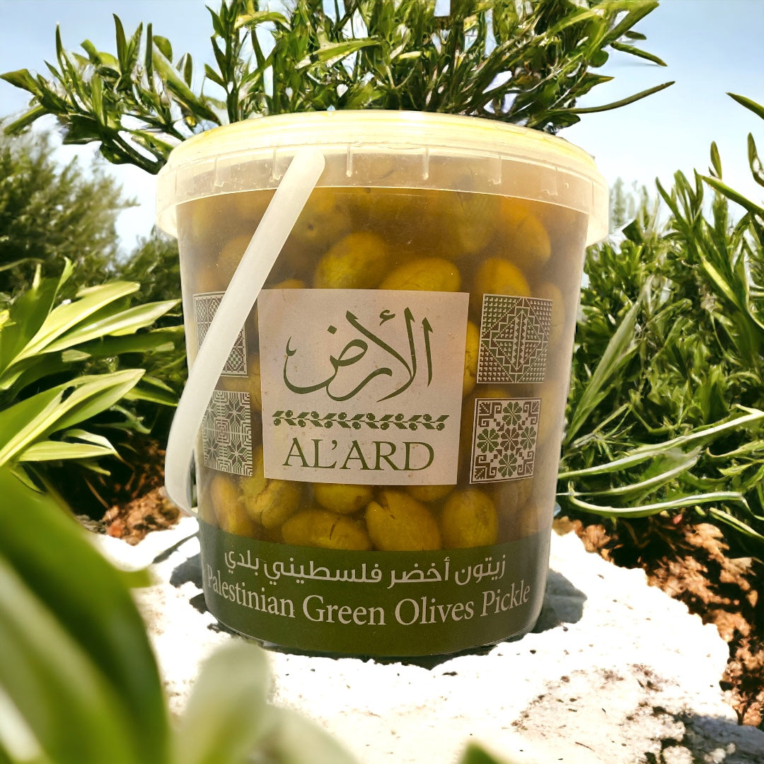 Grüne Oliven aus Palästina mit Stein (Balady).