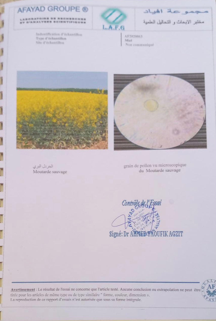Daghmous Heilkaktus Wild,- Honig