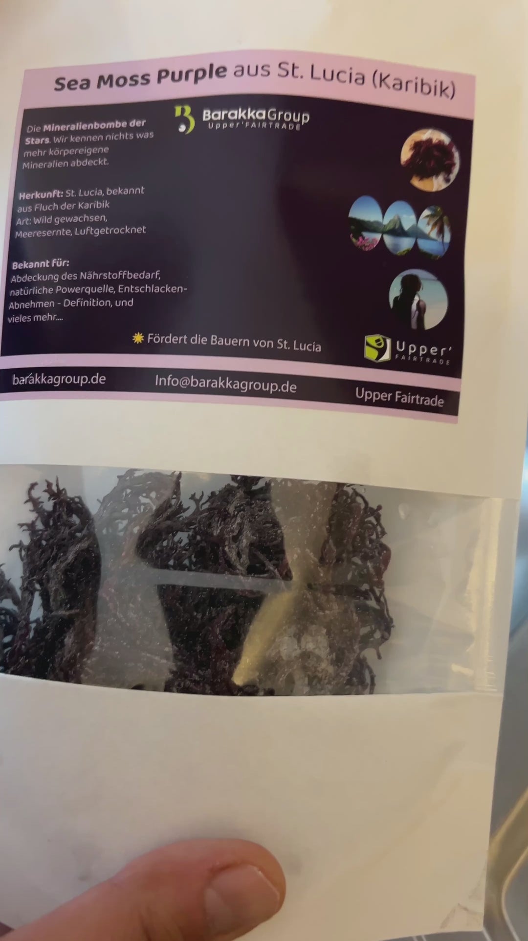 Sea Moss Golden, Mixed & Purple - Wildwuchs