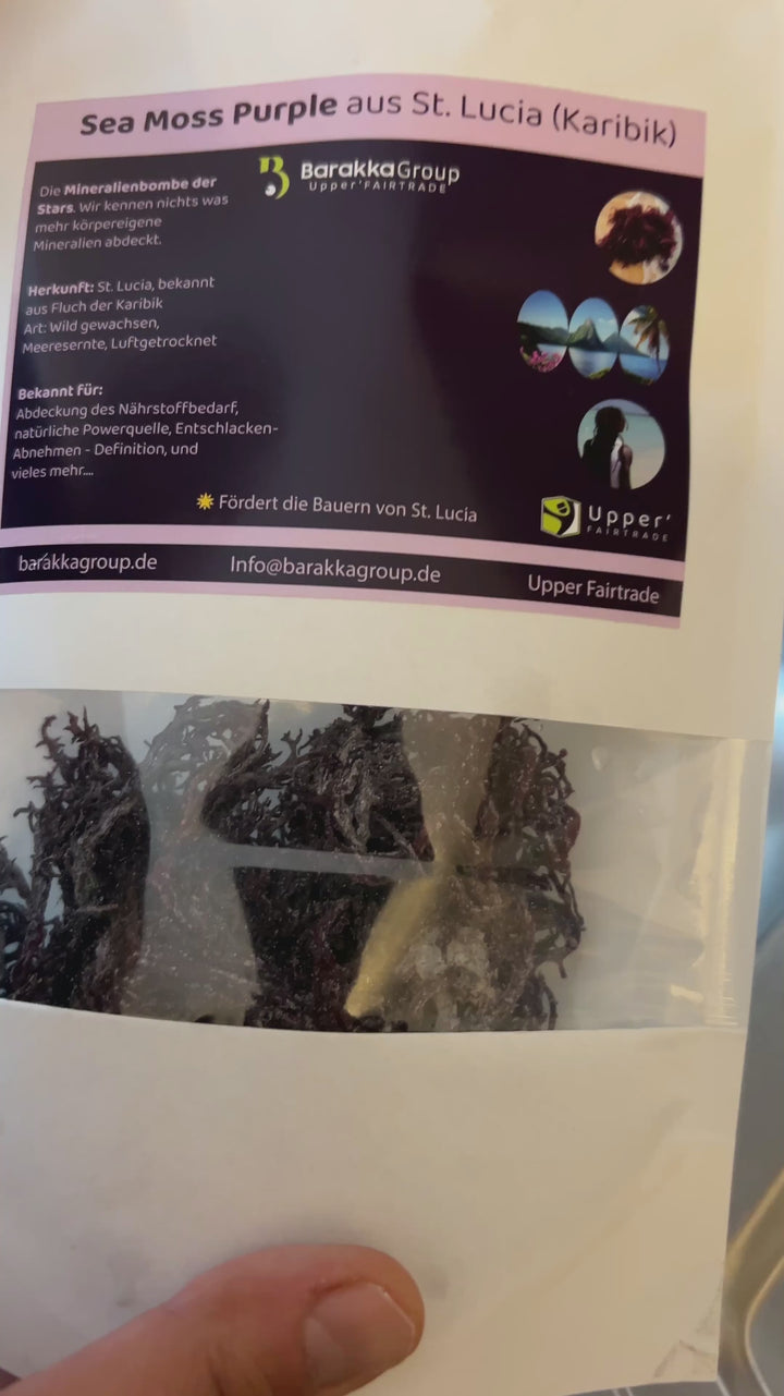 Sea Moss Golden, Mixed & Purple - Wildwuchs