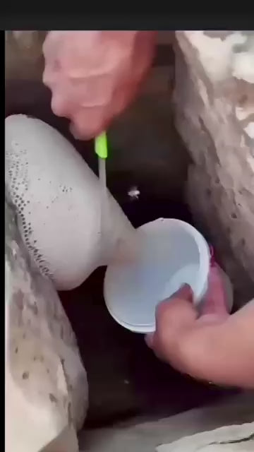 Kinderwunsch Sidr Honig Syrien mit Palm & Dattelpollen, Aschwagandha, indischer Kostus uvm.